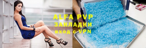 ГАЛЛЮЦИНОГЕННЫЕ ГРИБЫ Белокуриха