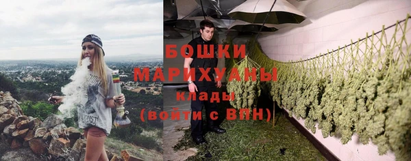 ГАЛЛЮЦИНОГЕННЫЕ ГРИБЫ Белокуриха