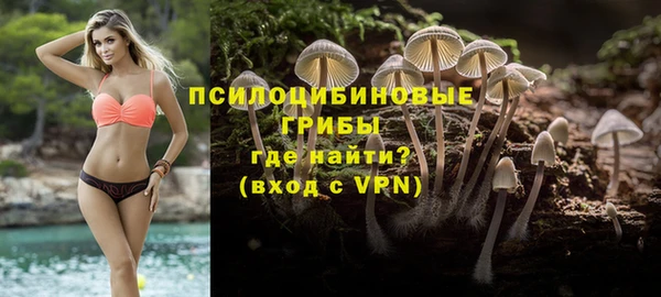 ГАЛЛЮЦИНОГЕННЫЕ ГРИБЫ Белокуриха