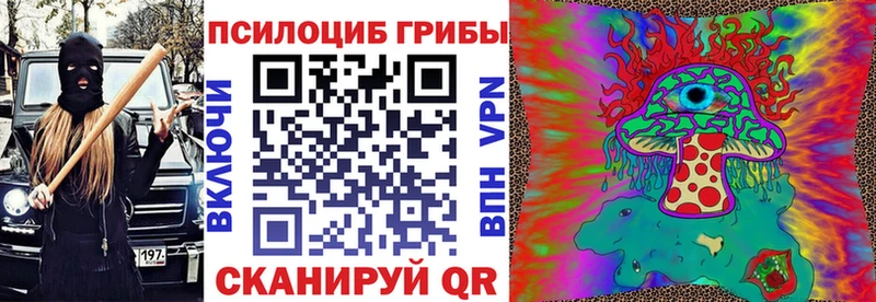 Галлюциногенные грибы мицелий  цена   Курильск 