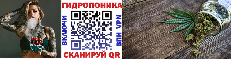 сколько стоит  ОМГ ОМГ tor  Канабис конопля  Курильск 